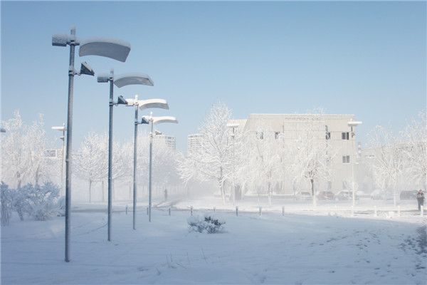 北京邮电大学毕科