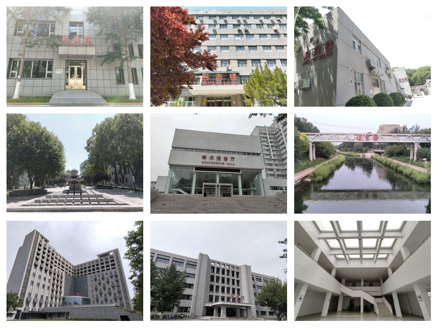 首都医科大学录取分数线